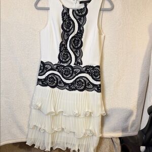 BCBGMaxAzria Black Lace and Cream Pleated Mini Dress